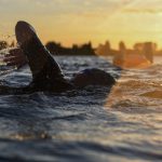 Zwemmen in koud water: lekker naar buiten